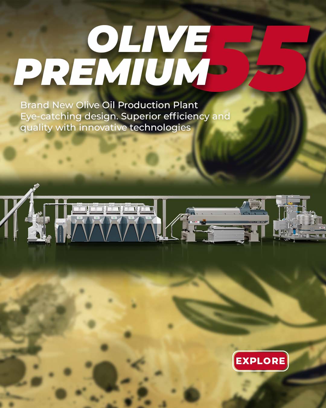 <h2 class="font-weight-bold">Olive Premium 55</h2>